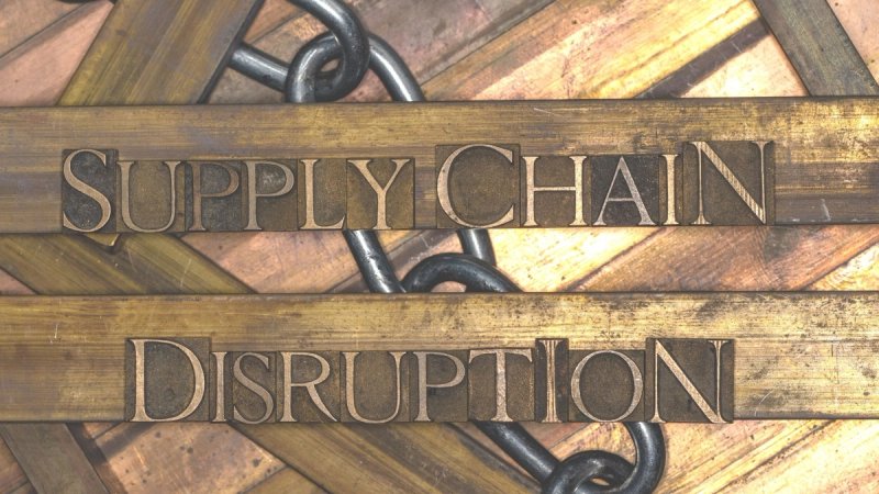 Image for How have British businesses responded to supply chain disruption?
