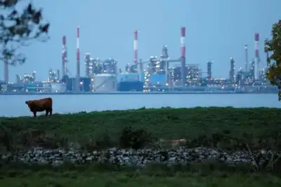 Image for EU body sets out draft sustainability disclosure standards