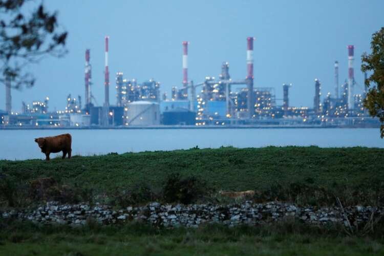 Image for EU body sets out draft sustainability disclosure standards