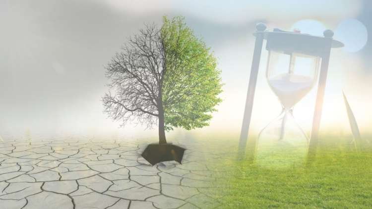 Image for We cannot ‘lockdown’ to avoid the climate crisis