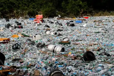 Image for EU reaches deal to stop sending waste to countries that can’t process it