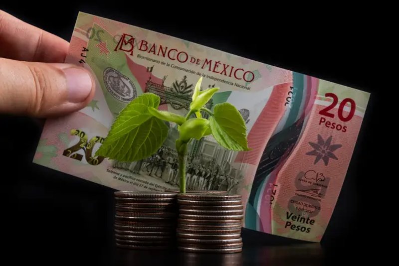 Image for Sustainable Finance and Green Investment in Mexico: A Comprehensive Overview