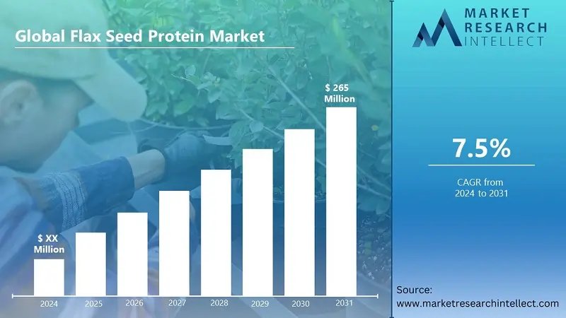 Image for Flax Seed Protein Market Size Projected to Reach USD 265 Million by 2031 with a Steady CAGR of 7.5% from 2024 to 2031