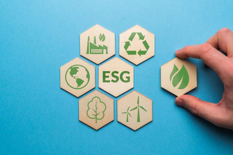 Image for ESG credentials key to attracting private investments, with ethical and moral concerns a deciding factor