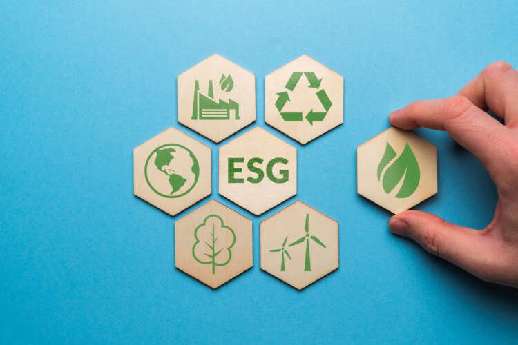 Image for ESG credentials key to attracting private investments, with ethical and moral concerns a deciding factor