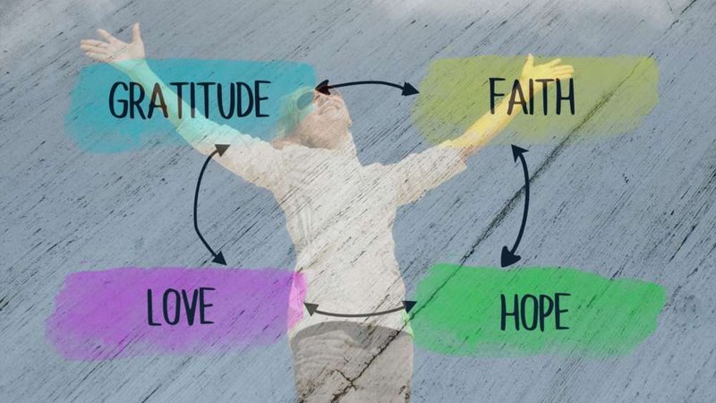 Image for Can you transform loss into gratitude and hope?