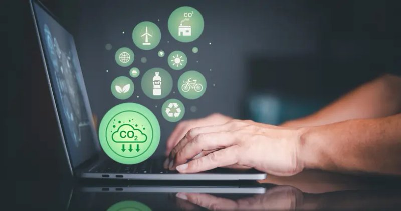 Image for Green Business Trends: How Companies Are Achieving Carbon Neutrality