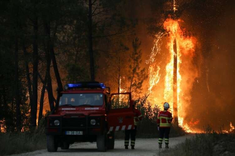 Firefighters battling a wildfire in Portugal amid extreme heatwave - Global Banking & Finance Review