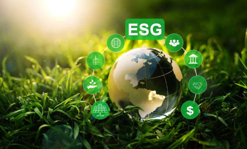 Image for Operationalising ESG information – How financial services firms can get it right