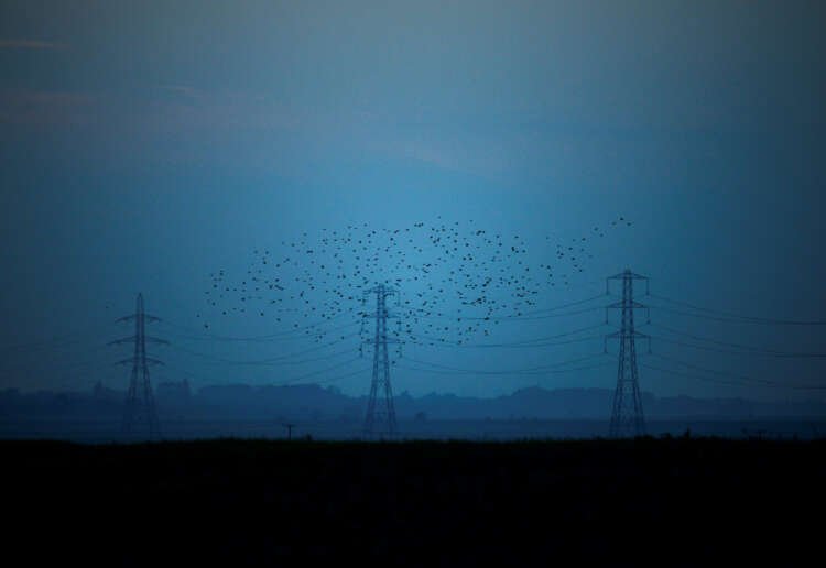 Image for UK’s National Grid to lose electricity role to independent body -The Times