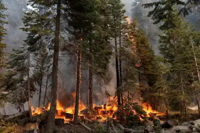 Image for Crews save California town near Lake Tahoe; wildfire rages on
