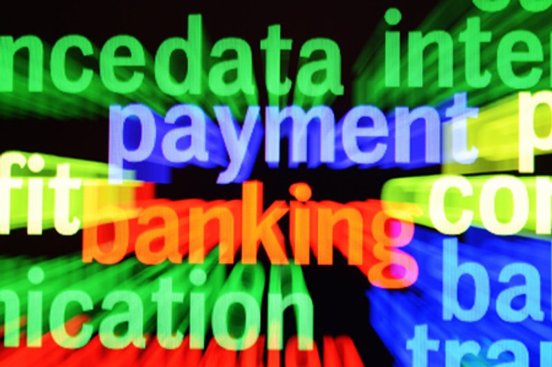 Image for MICRO MERCHANTS EYE FUTURE PAYMENT OPTIONS