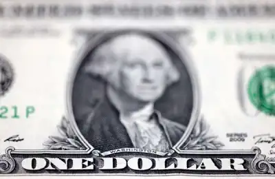 Image for Dollar set for slight weekly gain after US elections