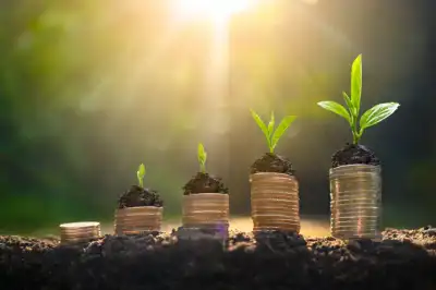 Image for The Profit Clarity Principle: Why Real Growth Requires More Than Revenue