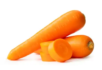 Image for Carrot Fiber Market to Reach USD 484.1 Million by 2034 Amid Rising Demand for Natural and Functional Food Ingredients