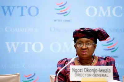 Image for WTO’s Ngozi: trade resilient, can help power coronavirus recovery
