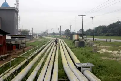Image for Energy transition risks political strife in oil-producing states – report