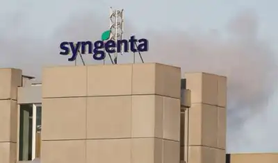 Image for Syngenta Q1 sales rise 26% as farmers buy early, IPO on track
