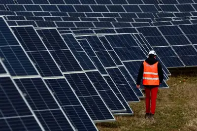 Image for French renewable energy sector says far-right victory risks trouble for industry