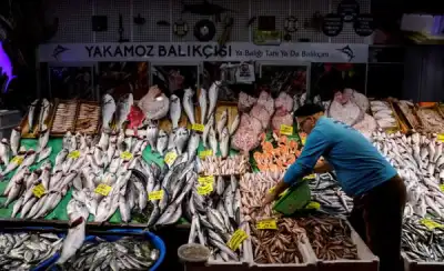 Image for Explainer-What’s at stake in WTO talks on fishing rules?