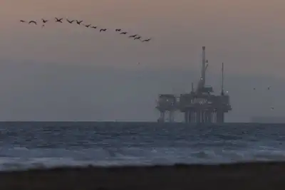 Image for Analysis-Renewed inflation worries help drive oil price rally