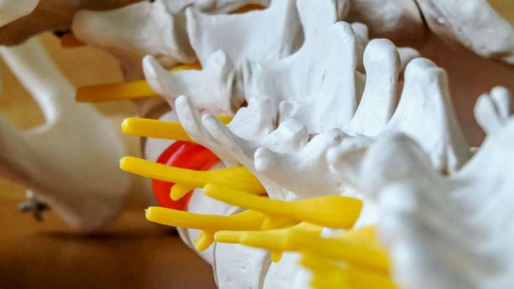 Illustration of spinal implants and devices market growth projections - Global Banking & Finance Review