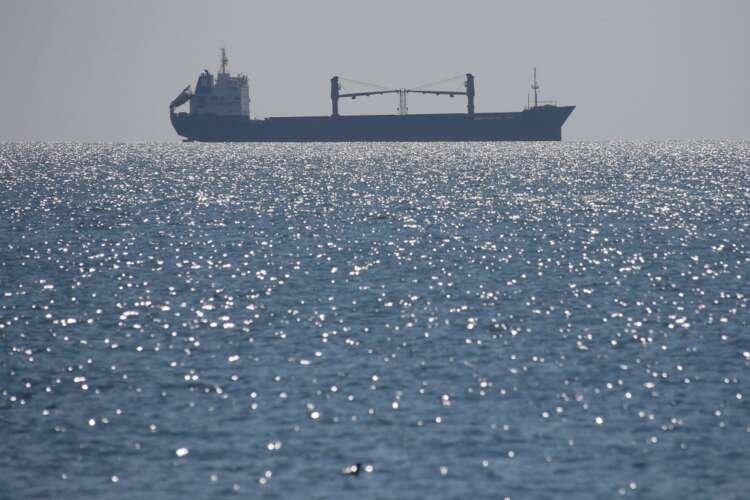 Image for Ships stranded in Ukraine as conflict slows UN rescue efforts