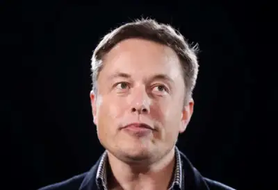 Image for Tesla loses a third of its value for the third time in a year
