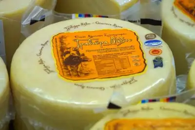 Image for Spiralling costs could take Greek graviera cheese off the menu