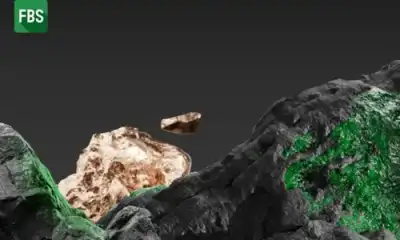 Image for FBS Financial Market Analysts Forecast Gold Prices to Rise to $2,800