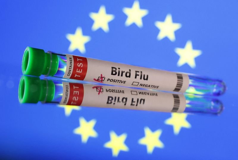 Image for EU agencies track bird flu virus variants on increasing threat to humans