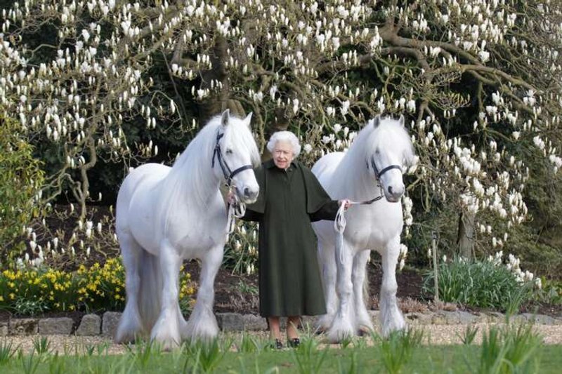Image for Queen Elizabeth’s 96th birthday marked with gun salutes