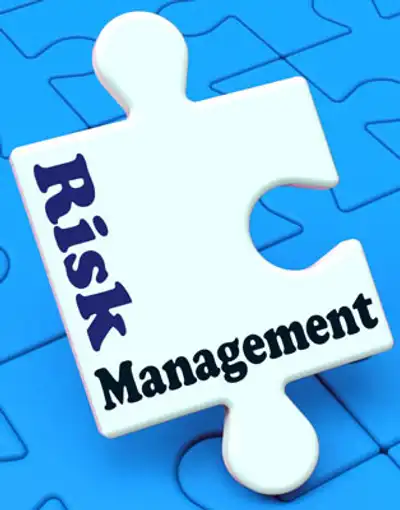 Image for BENEFITTING FROM BETTER CREDIT RISK MANAGEMENT: FROM COMPLIANCE GOALS TO LUCRATIVE BUSINESS RETURNS