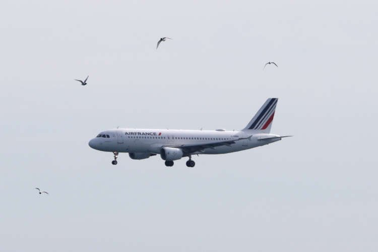Image for France, Brussels have agreed on Air France-KLM refinancing – minister