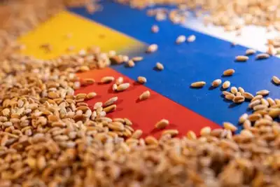 Image for Turkey says Ukraine-Russia grains deal will help relieve world food crisis