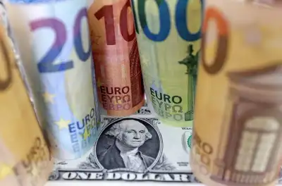 Image for Euro steadies as investors weigh up French gridlock; dollar soft