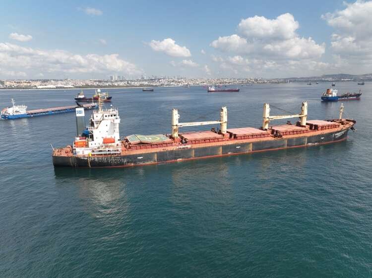 Grain-laden ships awaiting inspection in Istanbul due to Ukraine grain backlog - Global Banking & Finance Review