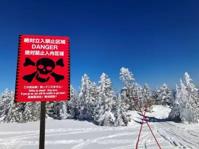 Image for Allure of Japan’s powder snow a growing danger as more tourists ski backcountry