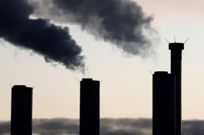 Image for French manufacturing activity at seven-month low in May -PMI