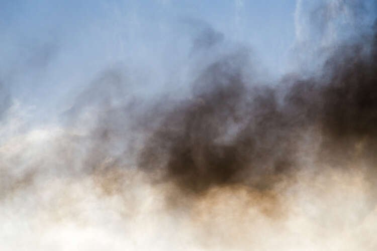 Can Your Company Claim From the Diesel Emissions Scandal?