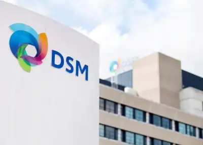 Image for DSM misses Q1 forecasts due to weak volumes and high costs