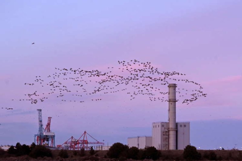 Image for More Irish-British trade diverted via Northern Ireland post-Brexit – port boss