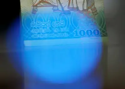 Image for Analysis-Debt-hobbled Sri Lanka risks running out of options