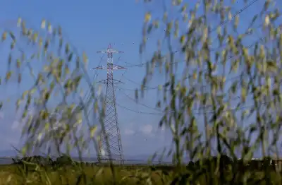 Image for Wind, solar energy output hit record high in Italy in 2023