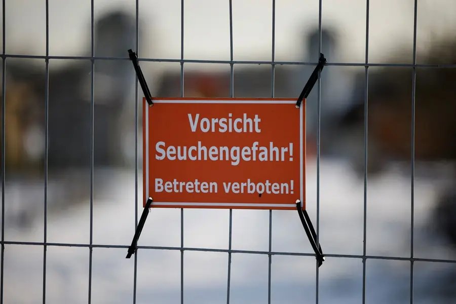 Image showing livestock affected by foot-and-mouth disease in Germany - Global Banking & Finance Review