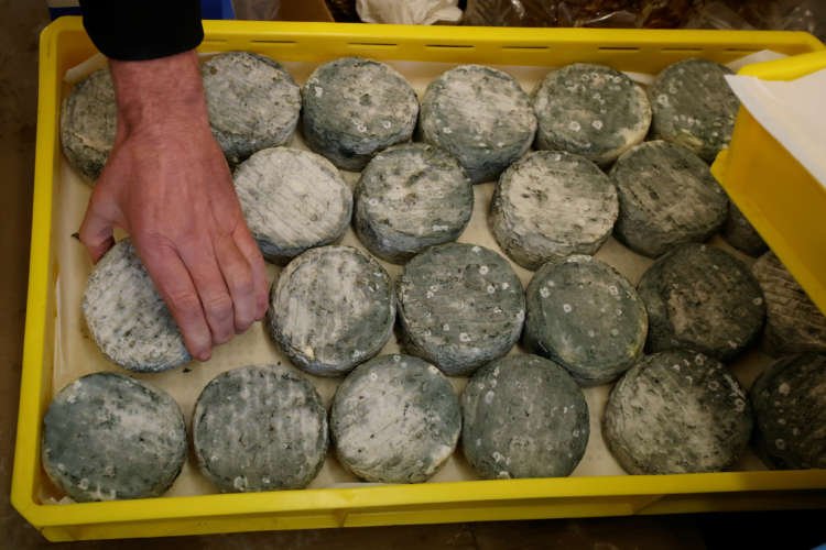 Image for Lights out: Brexit shuts off market for English cheese truckles