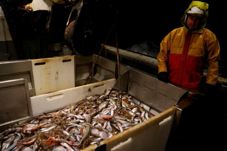 Image for France to hold up EU-UK financial services deal over fisheries – source
