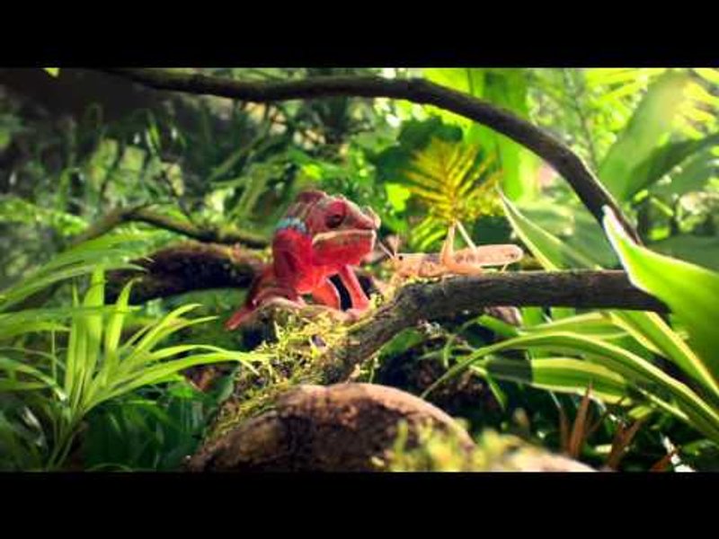 Image for Visa UK: New TV Advert – Visa with Apple Pay (TFL)