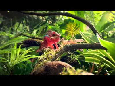 Image for Visa UK: New TV Advert – Visa with Apple Pay (TFL)