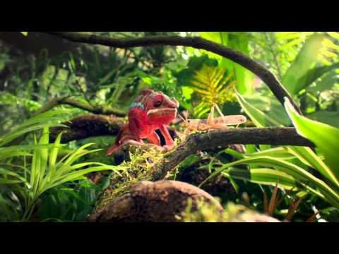 Image for Visa UK: New TV Advert – Visa with Apple Pay (TFL)